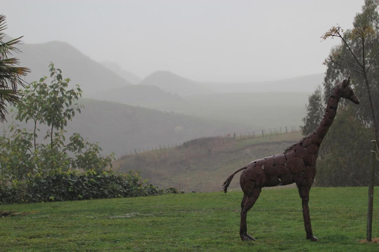 Cape South Estate - International Award-Winning Country Estate With Pacific Views Havelock North Esterno foto