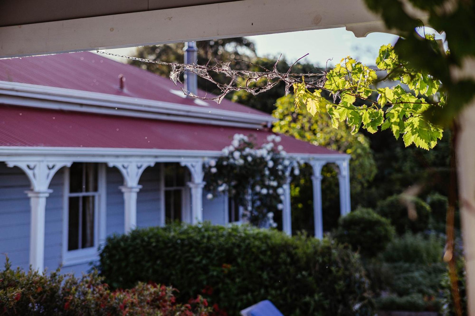 Cape South Estate - International Award-Winning Country Estate With Pacific Views Havelock North Esterno foto